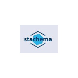 Stachema